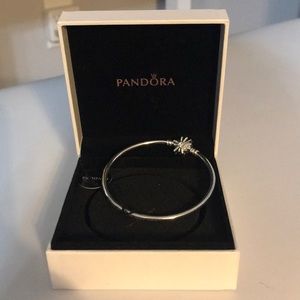 Pandora Bracelet